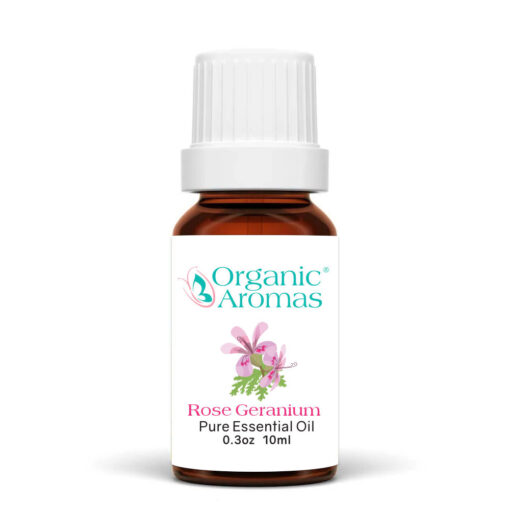 Rose Geranium Pure Essential Oil 10ml