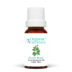 Sweet Basil Pure Essential Oil 10ml