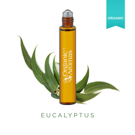 Eucalyptus Roll-on Essential Oil