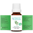 Tea Tree Organic Pure Essential Oil 10ml Open Label