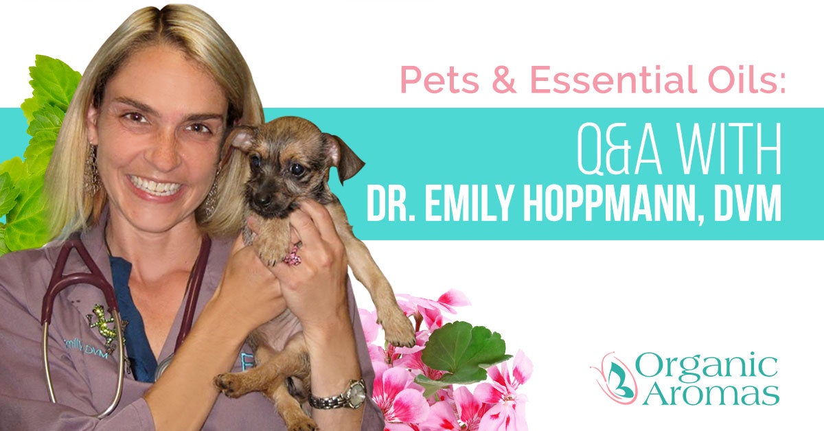 Pets and Essential Oils: Q&A with Dr. Emily Hoppmann, DVM