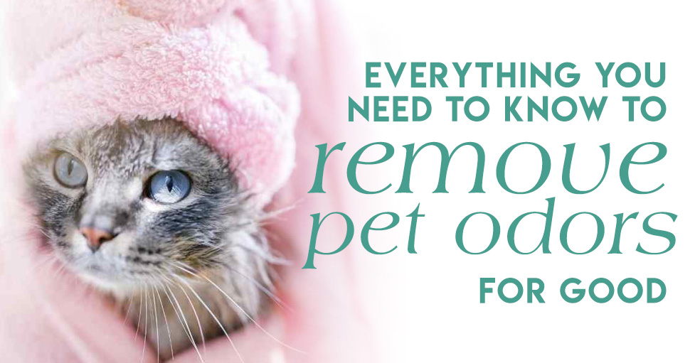 Remove pet odors permanently.