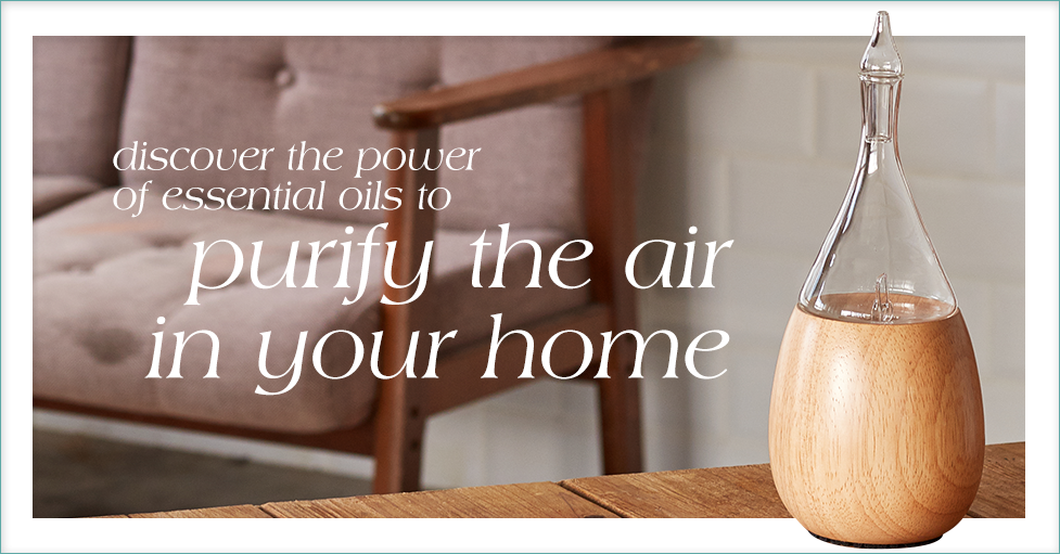 purify the air in your home