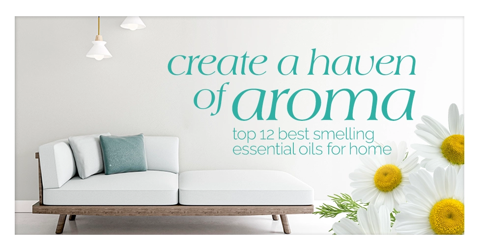 top 12 Best Smelling Essential Oils for Home Create a Haven of Aroma Featured Image