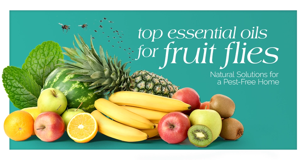 Top Essential Oils for Fruit Flies Natural Solutions for a Pest Free Home Featured Image